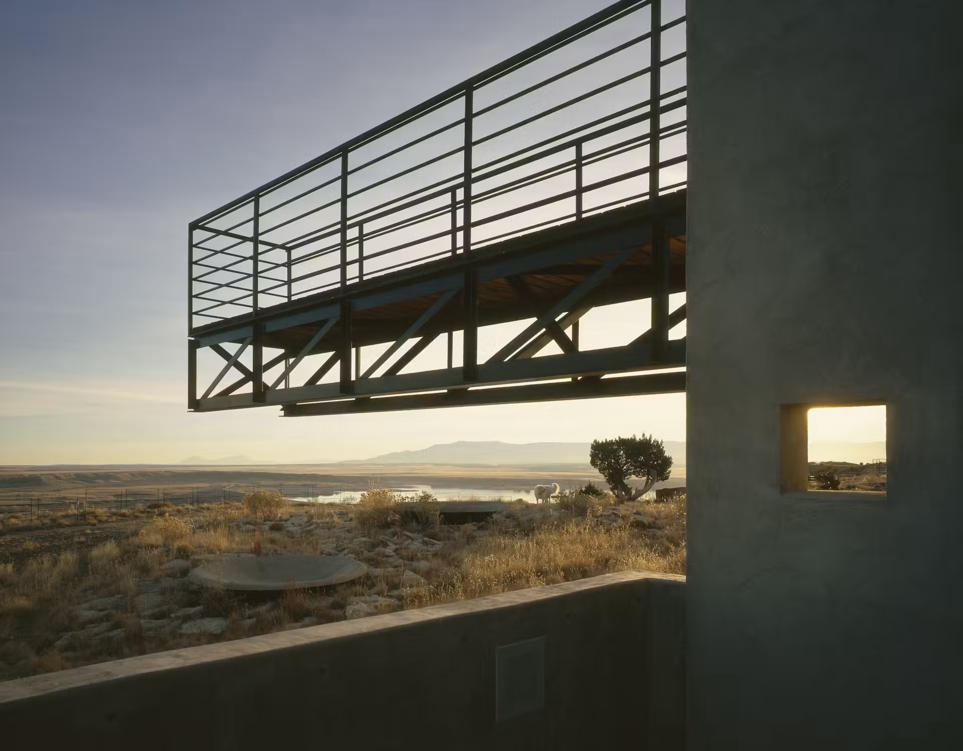 Desert landscape at golden hour